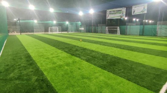 Picture of SPORTS PARK 